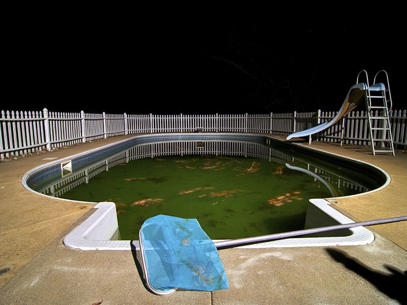 An empty swimming pool with murky green water, surrounded by a white fence. A pool net and a slide are visible.
